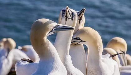 GGBET官方网站-武磊快问快答:在中超最好的朋友是吴曦,最难缠的对手是申花