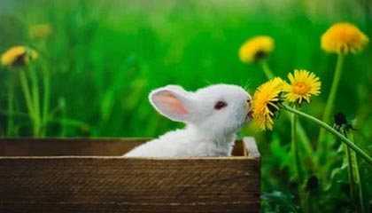 GGBET官方平台-北京国安新帅:将带着对胜利的渴望出发